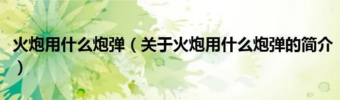 火炮用什么炮弹（关于火炮用什么炮弹的简介）