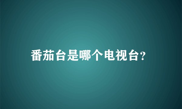 番茄台是哪个电视台？