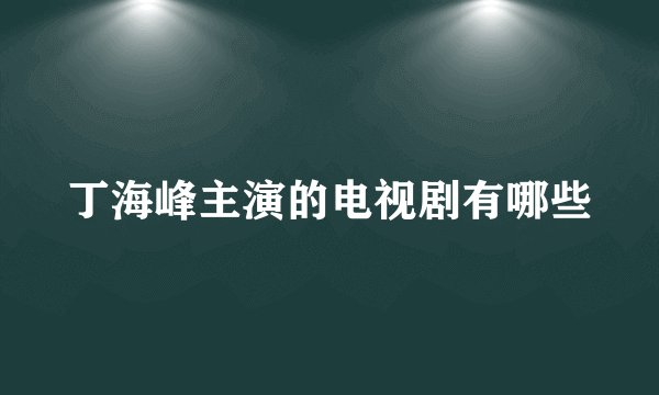 丁海峰主演的电视剧有哪些