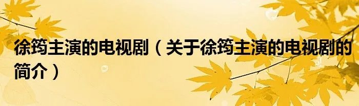 徐筠主演的电视剧（关于徐筠主演的电视剧的简介）