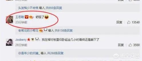LPL“解说米勒评价RNG”,只有野辅可以,三C得换,Uzi问题很大,是这样吗?