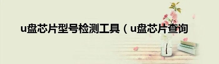 u盘芯片型号检测工具（u盘芯片查询