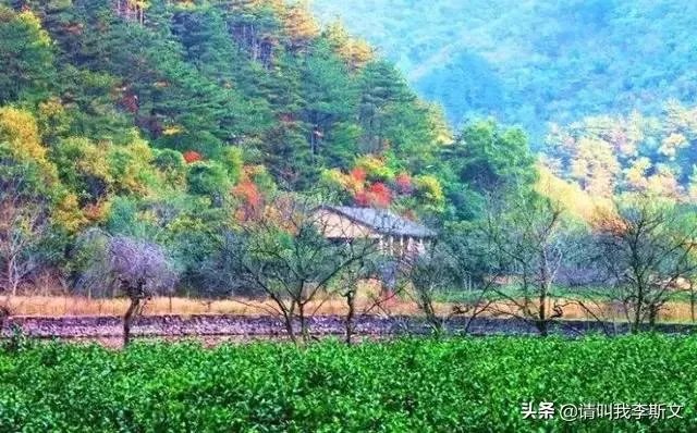 水没坪村