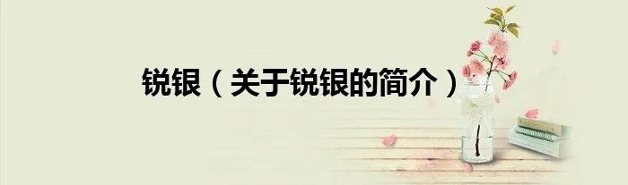 锐银(关于锐银的简介)