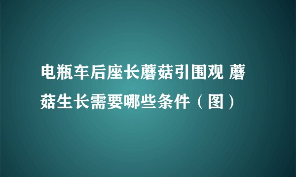 电瓶车后座长蘑菇引围观 蘑菇生长需要哪些条件（图）