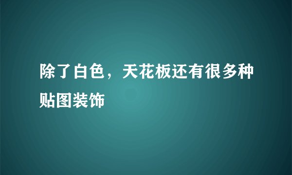 除了白色，天花板还有很多种贴图装饰
