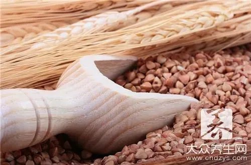 那种苦荞茶好