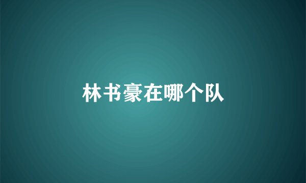 林书豪在哪个队