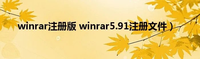 winrar注册版 winrar5.91注册文件)