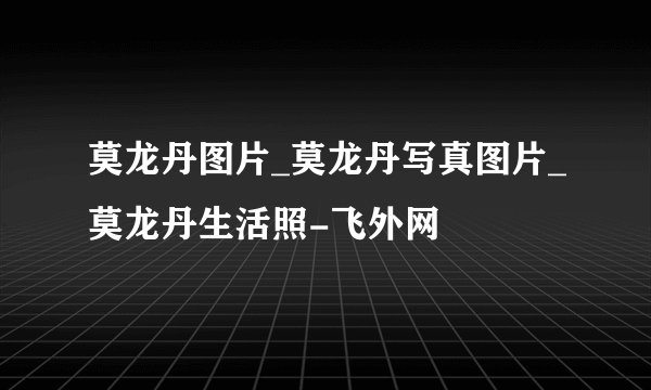莫龙丹图片_莫龙丹写真图片_莫龙丹生活照-飞外网
