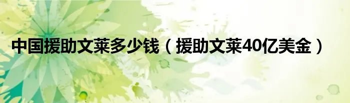 中国援助文莱多少钱(援助文莱40亿美金)