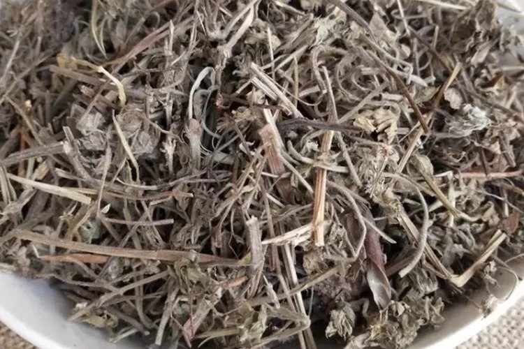 老鸹筋图片