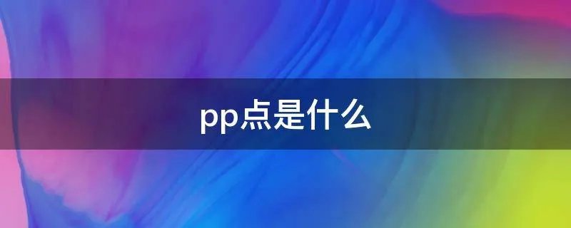 pp点是什么