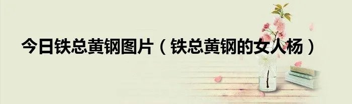 今日铁总黄钢图片（铁总黄钢的女人杨）