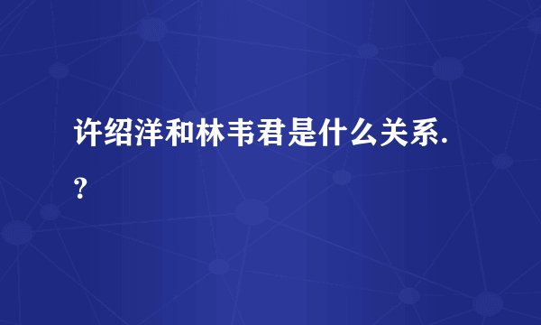 许绍洋和林韦君是什么关系.？