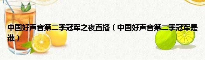 中国好声音第二季冠军之夜直播（中国好声音第二季冠军是谁）