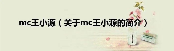 mc王小源（关于mc王小源的简介）