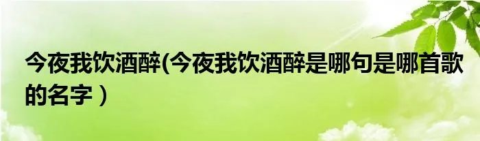 今夜我饮酒醉(今夜我饮酒醉是哪句是哪首歌的名字）