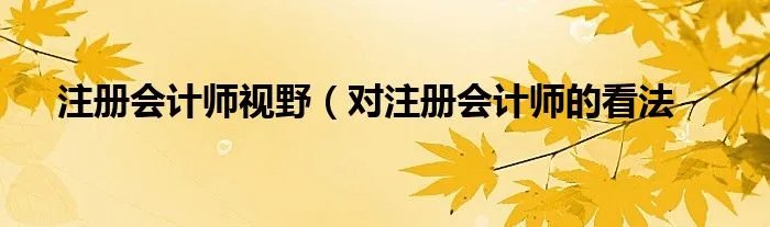 注册会计师视野（对注册会计师的看法