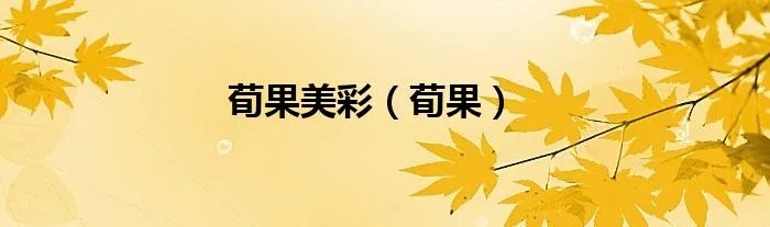 荀果美彩（荀果）