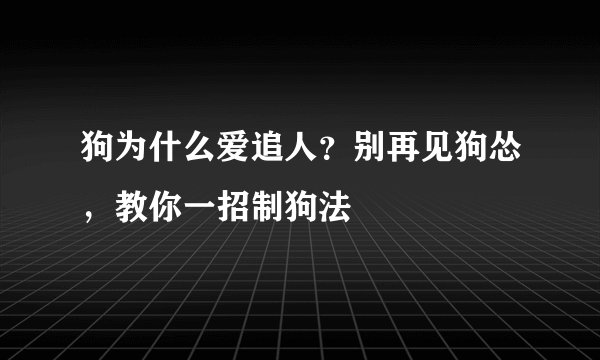 狗为什么爱追人？别再见狗怂，教你一招制狗法