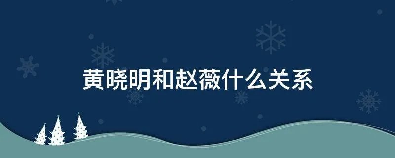 黄晓明和赵薇什么关系