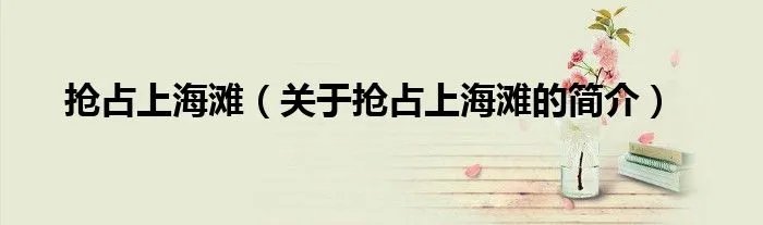 抢占上海滩(关于抢占上海滩的简介)