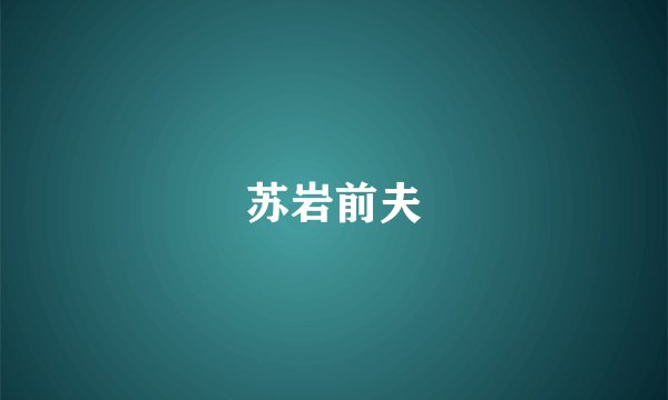 苏岩前夫