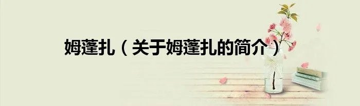 姆蓬扎（关于姆蓬扎的简介）
