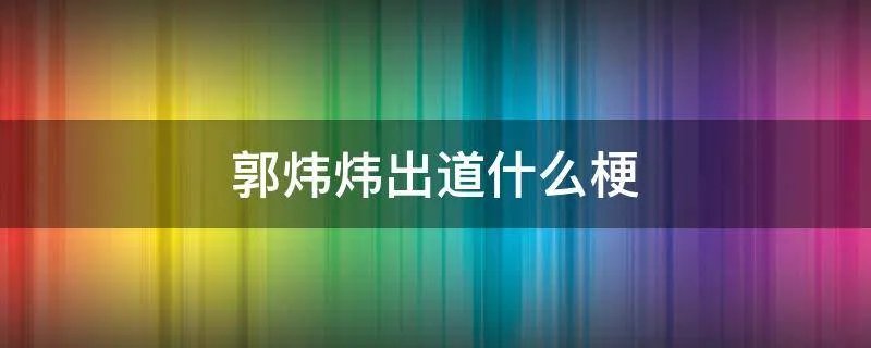 郭炜炜出道什么梗
