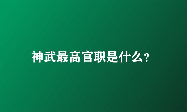 神武最高官职是什么？