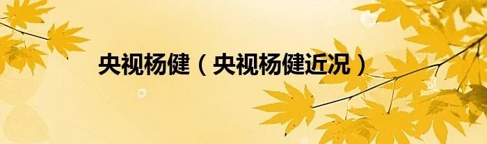 央视杨健（央视杨健近况）