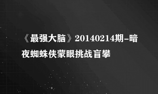 《最强大脑》20140214期-暗夜蜘蛛侠蒙眼挑战盲攀