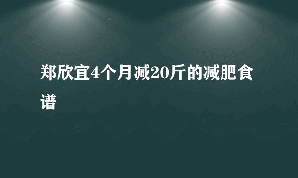 郑欣宜4个月减20斤的减肥食谱