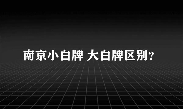 南京小白牌 大白牌区别？