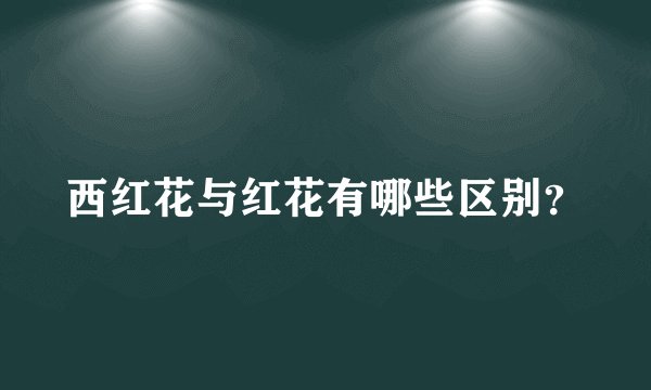 西红花与红花有哪些区别？
