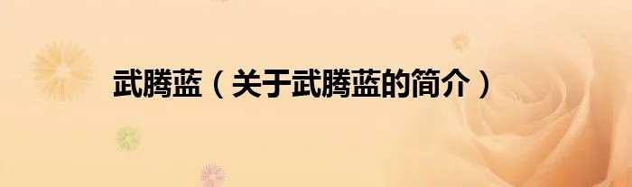 武腾蓝（关于武腾蓝的简介）