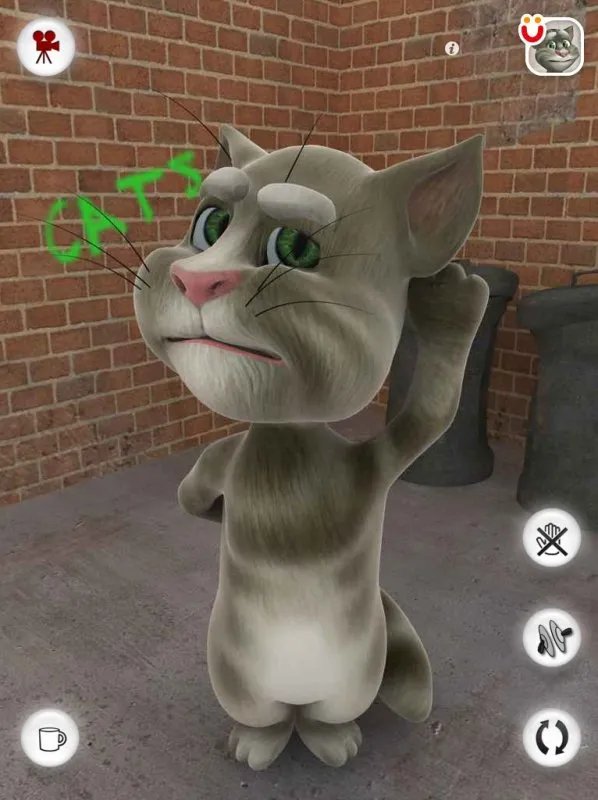 会说话的汤姆猫怎么玩？
