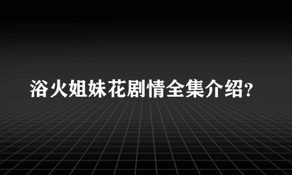 浴火姐妹花剧情全集介绍？