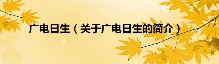广电日生（关于广电日生的简介）