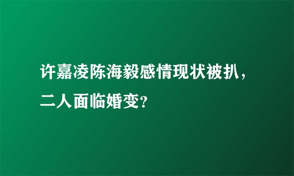 许嘉凌陈海毅感情现状被扒，二人面临婚变？