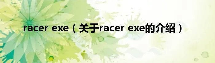 racer exe（关于racer exe的介绍）