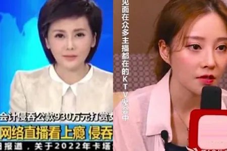 冯提莫回应打赏 自己会归还钱财