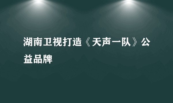 湖南卫视打造《天声一队》公益品牌