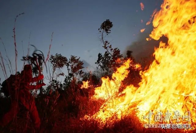 西昌山火为什么会死这么多人？