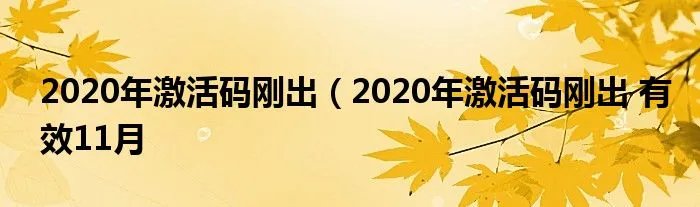 2020年激活码刚出（2020年激活码刚出 有效11月