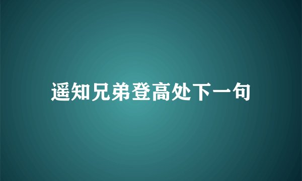 遥知兄弟登高处下一句
