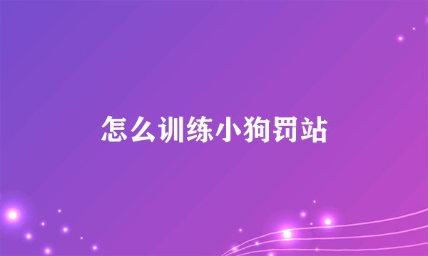 怎么训练小狗罚站