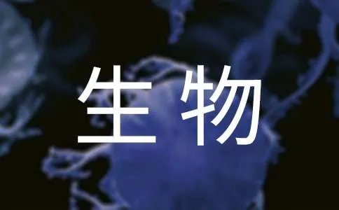 生物教学计划
