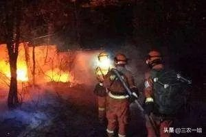 西昌山火为什么会死这么多人？